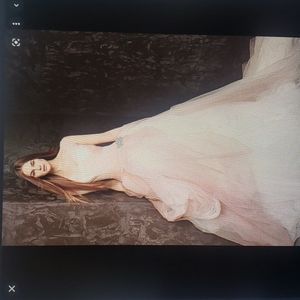 Vera Wang wedding gown